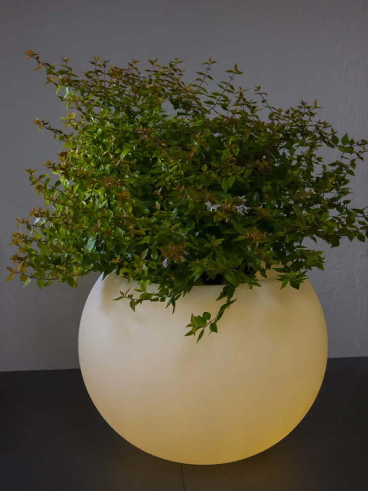 sandy|gartenlampe-aussenleuchte-blumentopf-epstein-design-Flora-65-20025-beleuchtet-bepflanzt.jpg